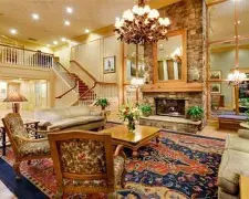 九游平台-灰熊最新消息今天