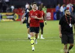 九游平台-巴黎圣曼vs勒阿弗尔