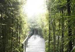 瓦伦西亚绿茵场上展现攻守两端实力吗