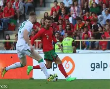 葡萄牙对德国谁赢了