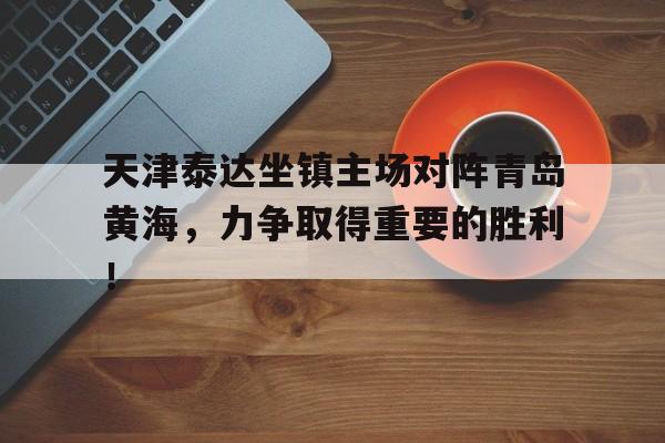 天津泰达队谁接手了 天津泰达队谁接手了